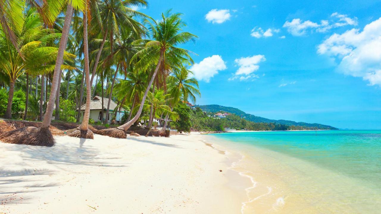 Samui Blue Bird Bed & Breakfast Mae Nam Bagian luar foto