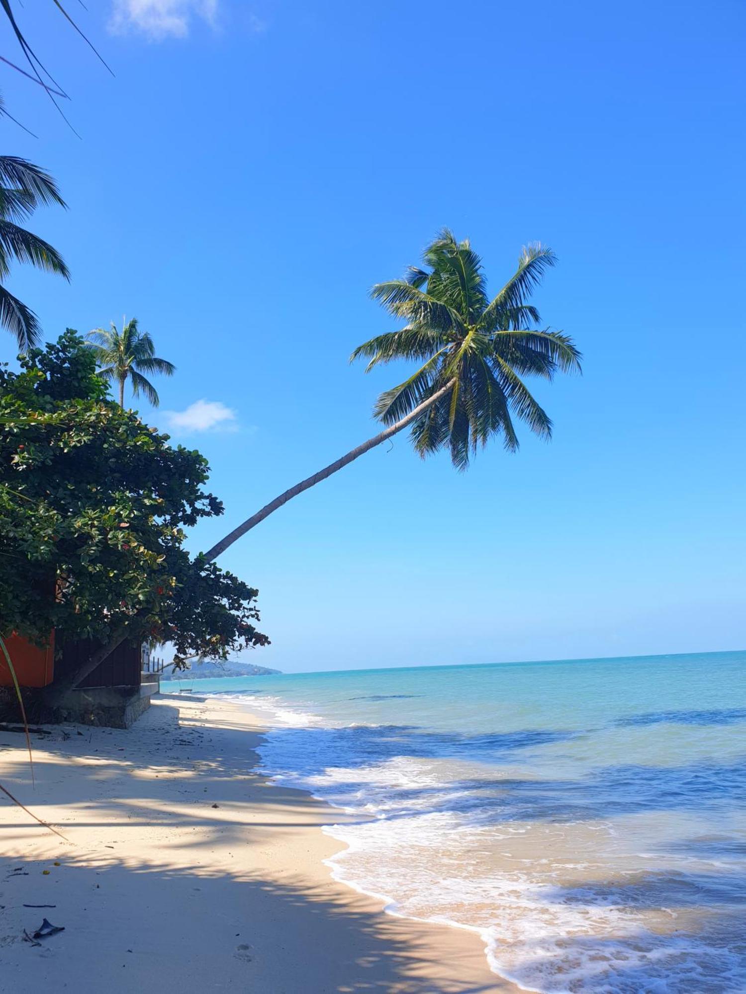 Samui Blue Bird Bed & Breakfast Mae Nam Bagian luar foto